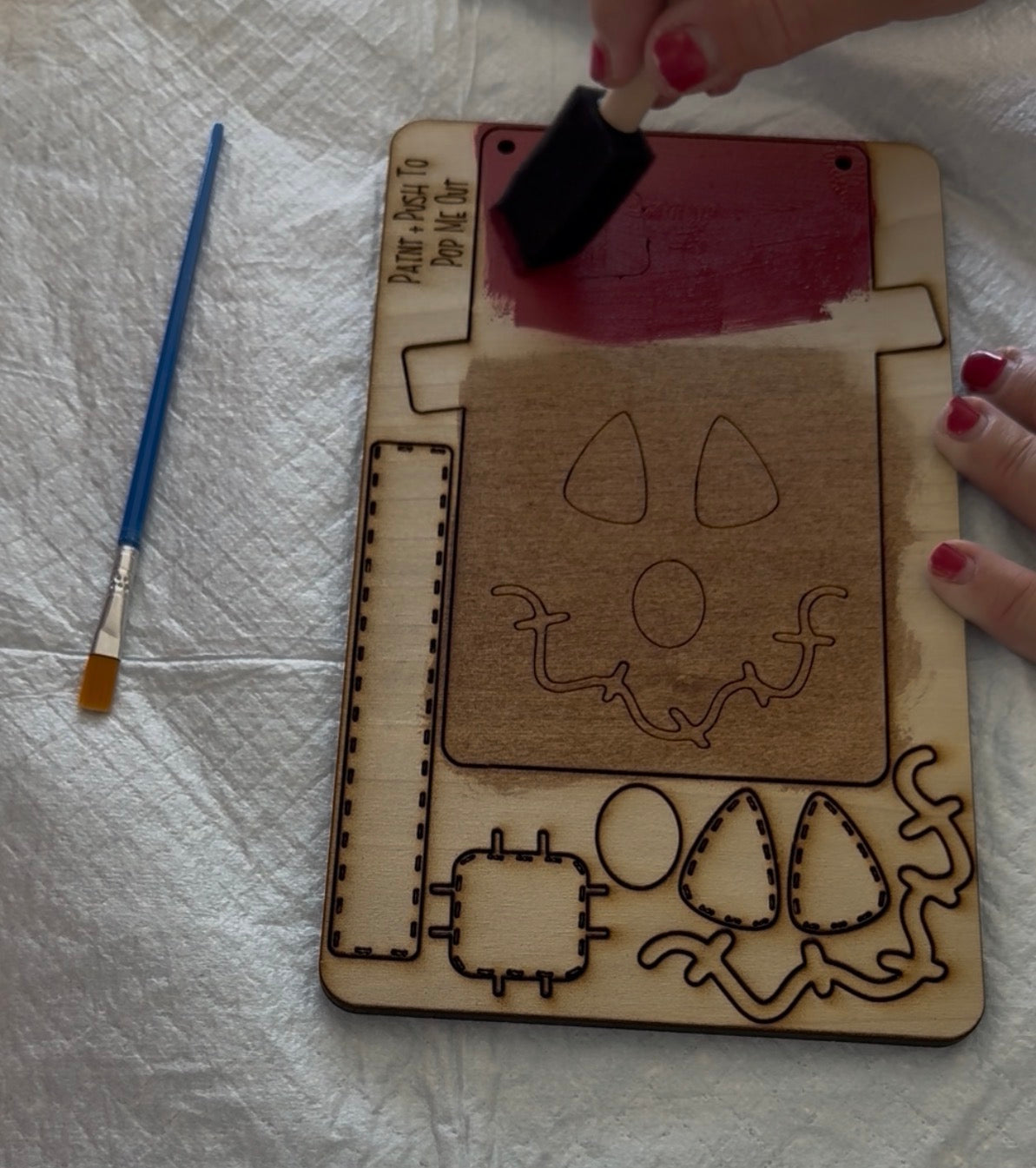 Scare Crow Paint Kit